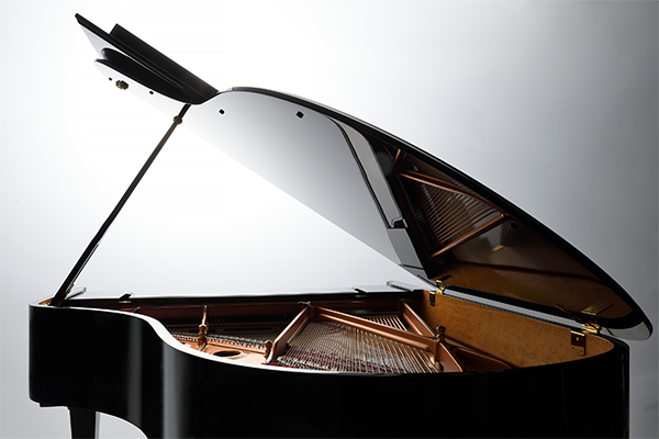 Grand Piano Interior